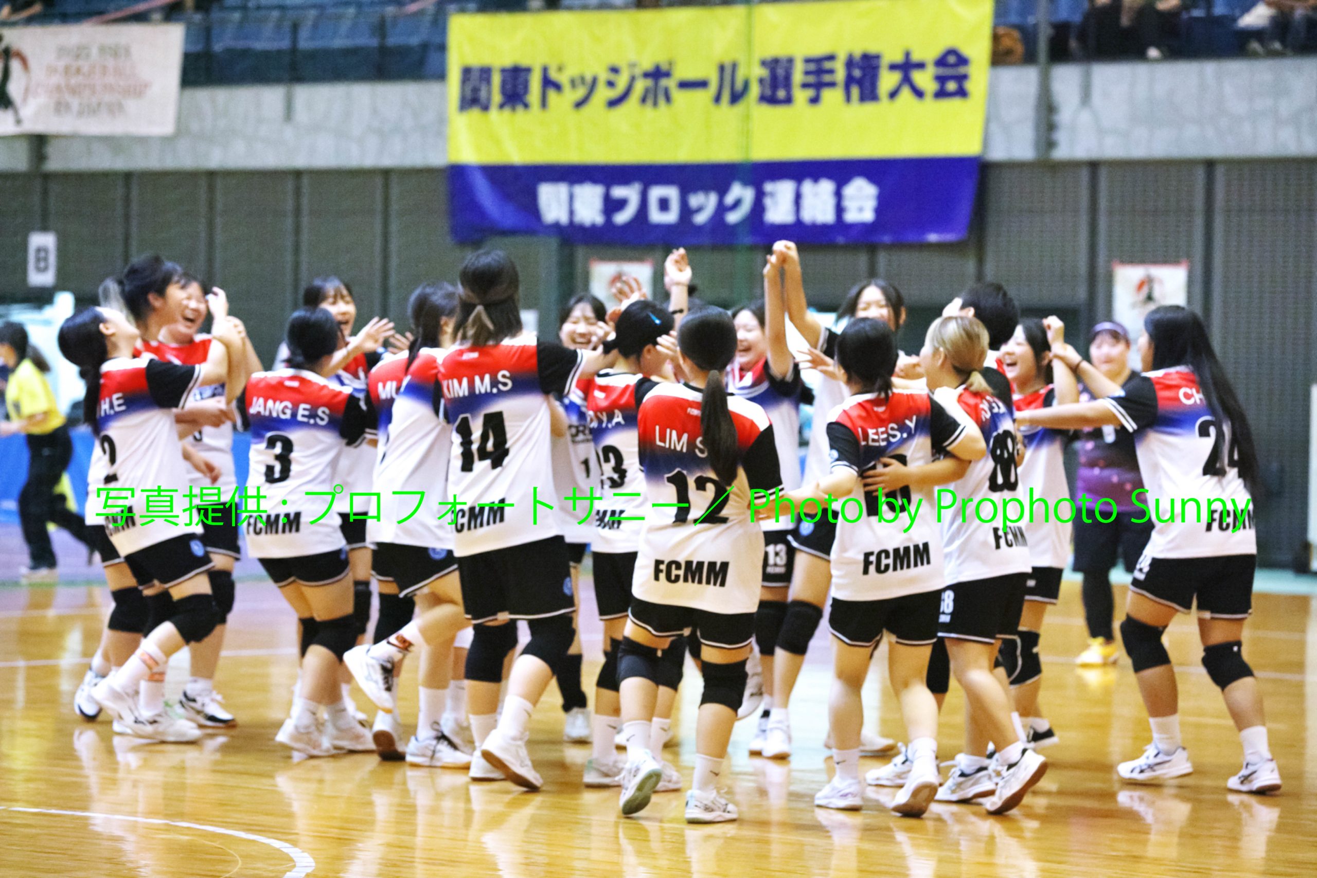 ドッジボールプレイイメージ